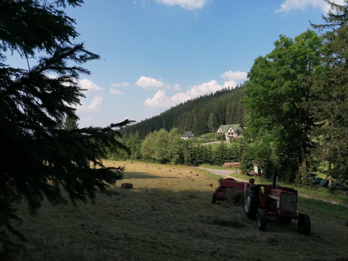 Gosciniec Janowa Gora - Agroturystyka Stronie Śląskie 外观 照片