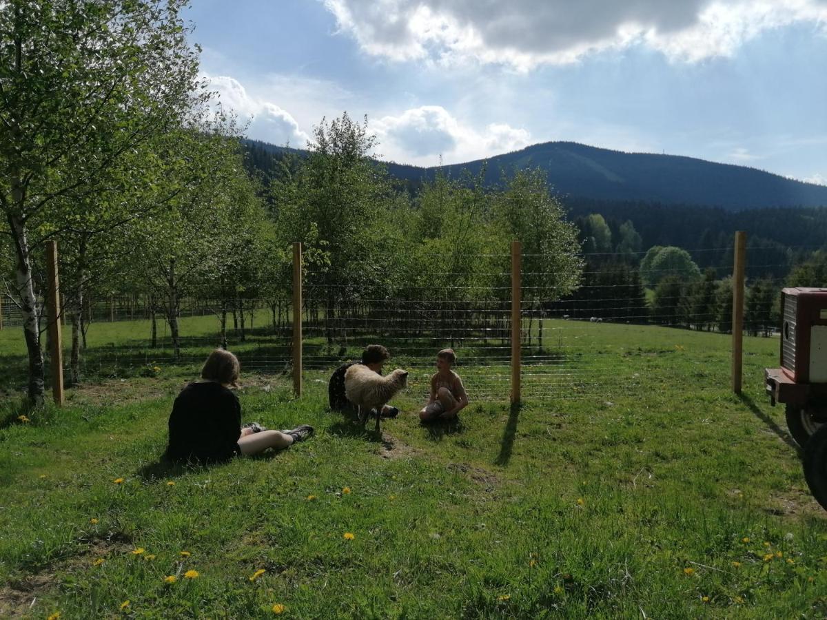 Gosciniec Janowa Gora - Agroturystyka Stronie Śląskie 外观 照片
