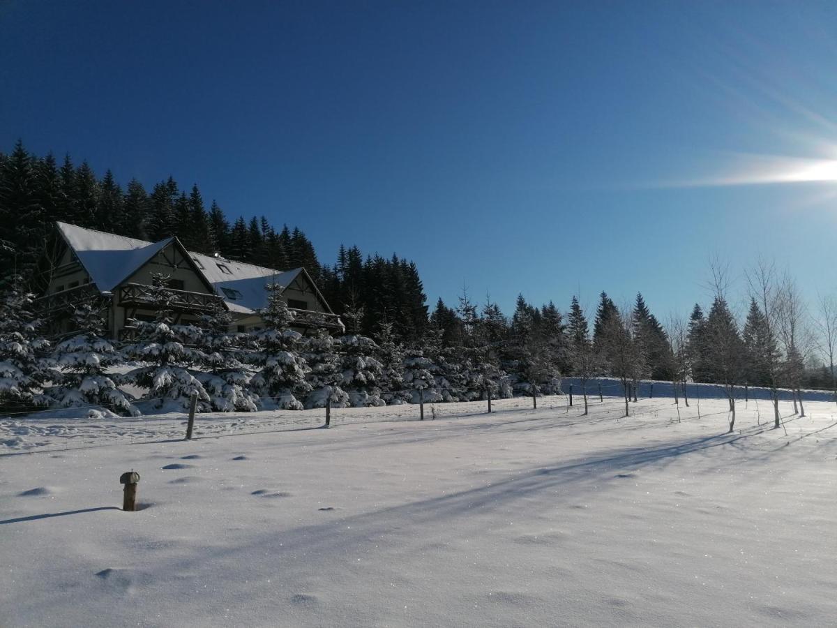 Gosciniec Janowa Gora - Agroturystyka Stronie Śląskie 外观 照片