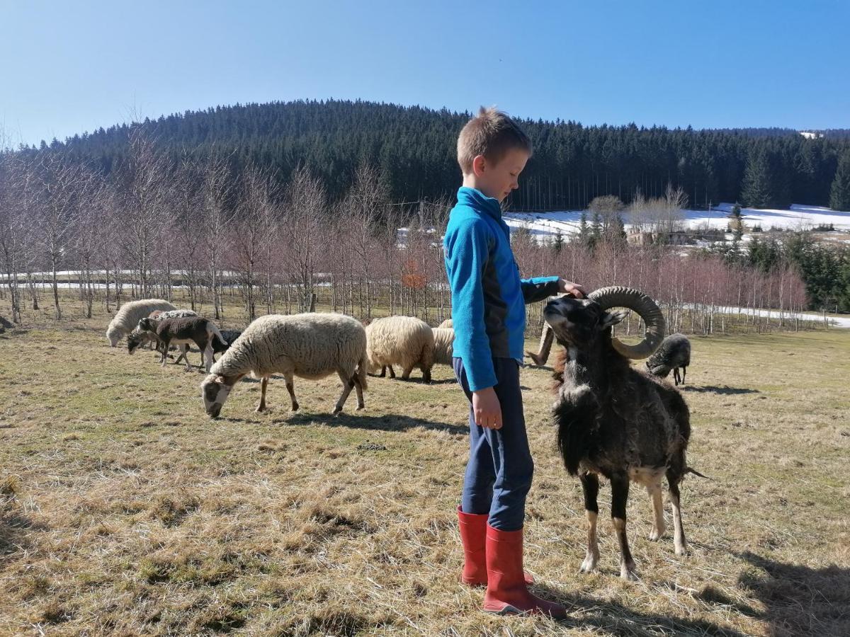 Gosciniec Janowa Gora - Agroturystyka Stronie Śląskie 外观 照片